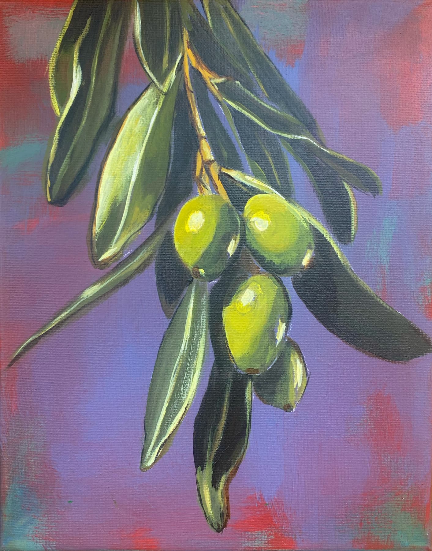 Green olives hanging from a branch against a pink and blue field